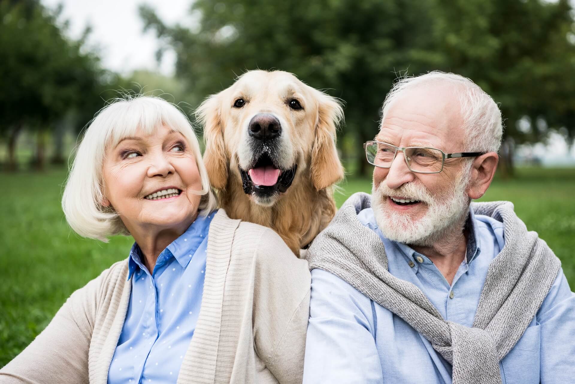 Pflegeleichte Haustiere für Senioren
