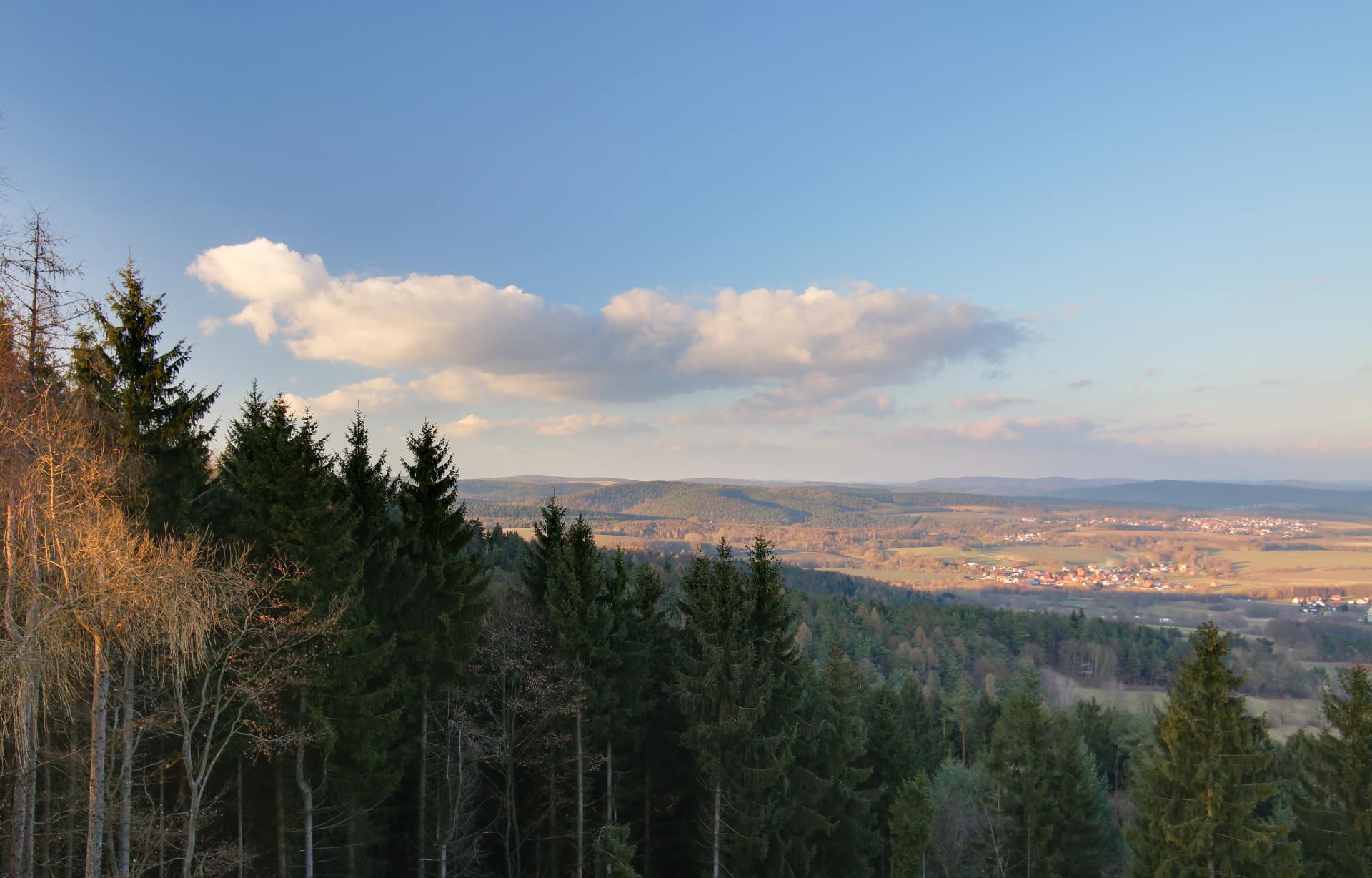 Blick über Wald und Tal