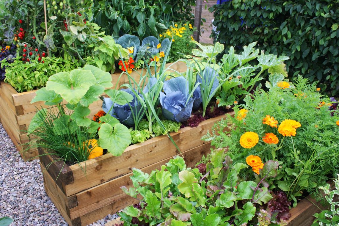 Bepflanzte Beete im barrierefreien Garten