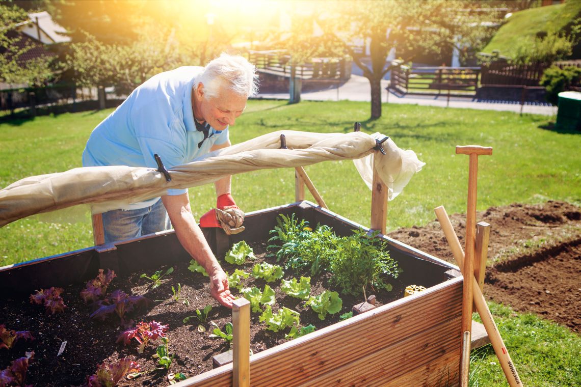 Mann bepflanzt Hochbeet im barrierefreien Garten