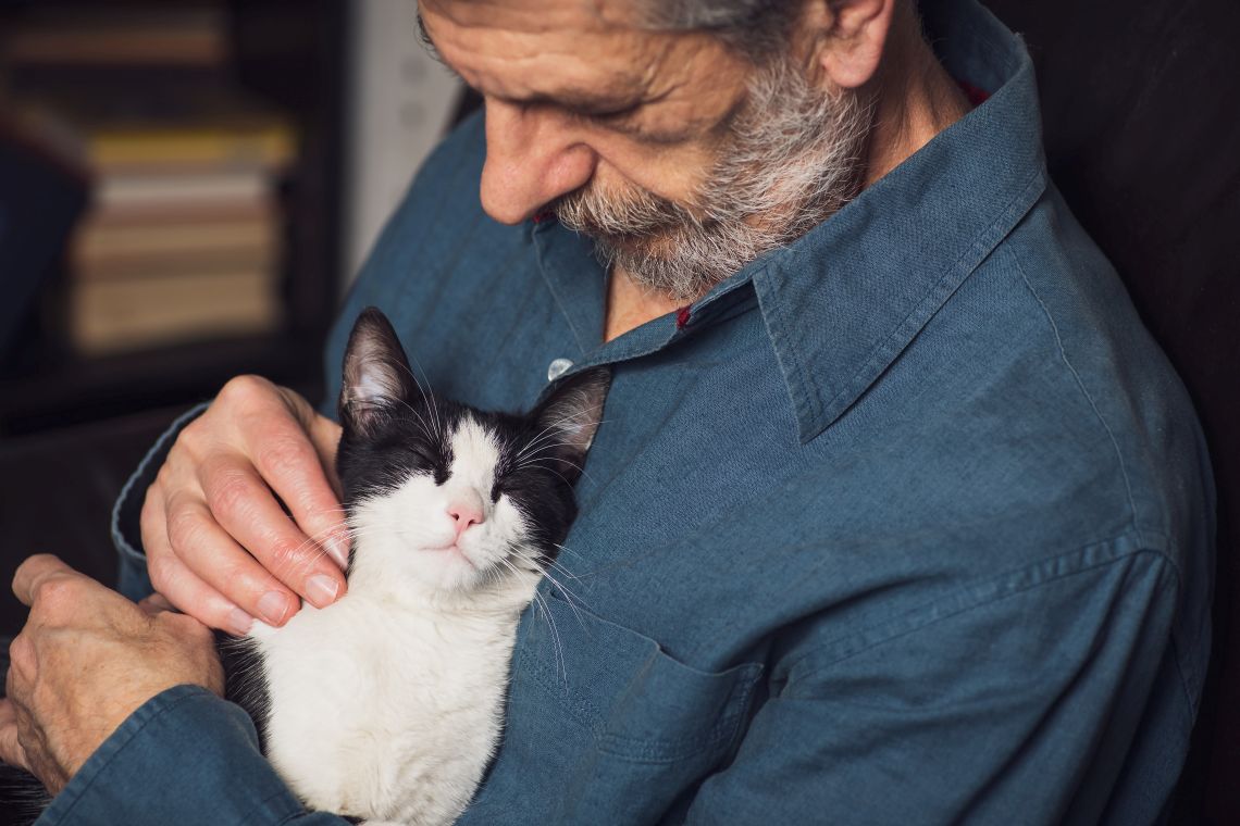 Ehrenamt für Rentner: Senior streichelt Katze im Tierheim