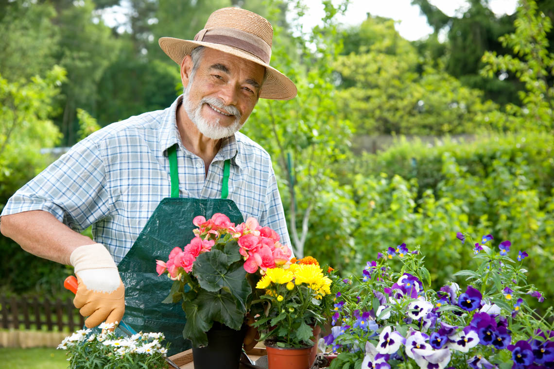 © © Alexander Raths | stock.adobe.com Senior pflanzt Blumen im Garten