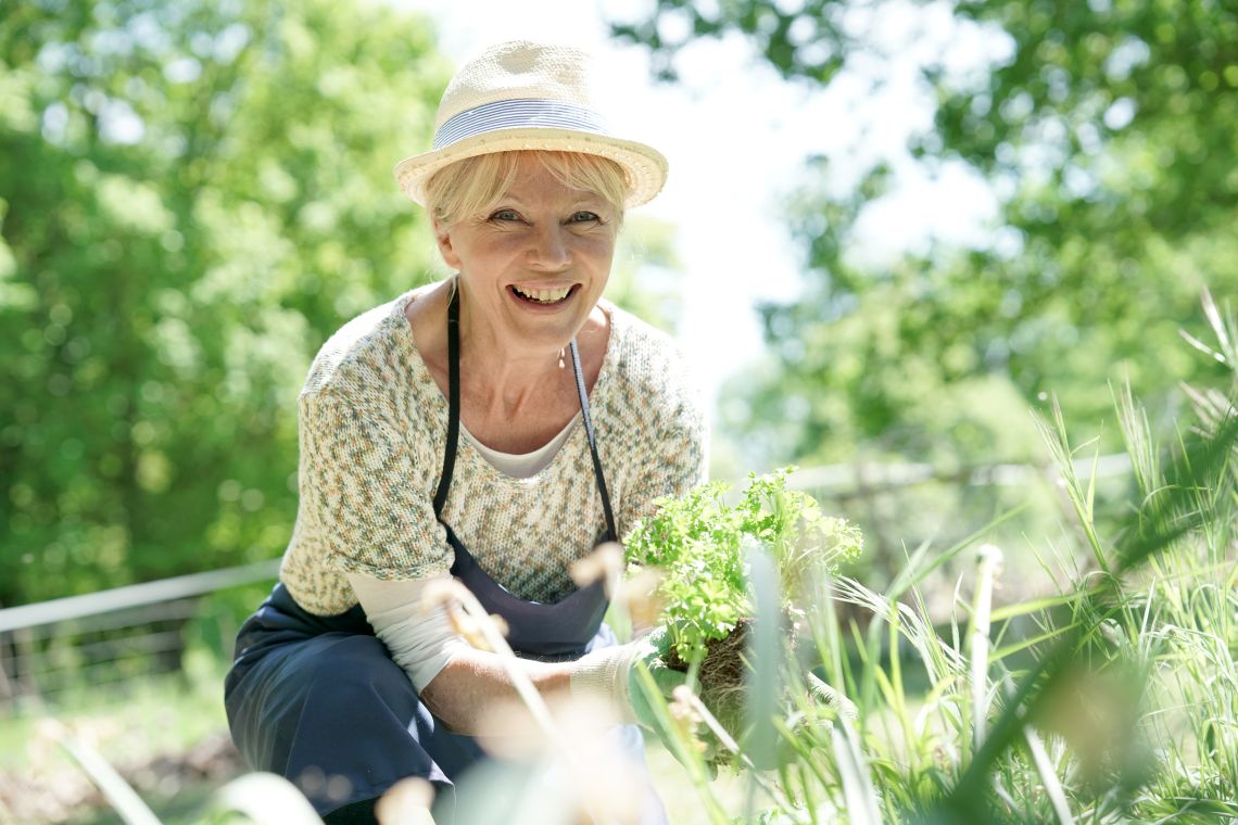 Gartenarbeit für Senioren: Frau beim Pflanzen