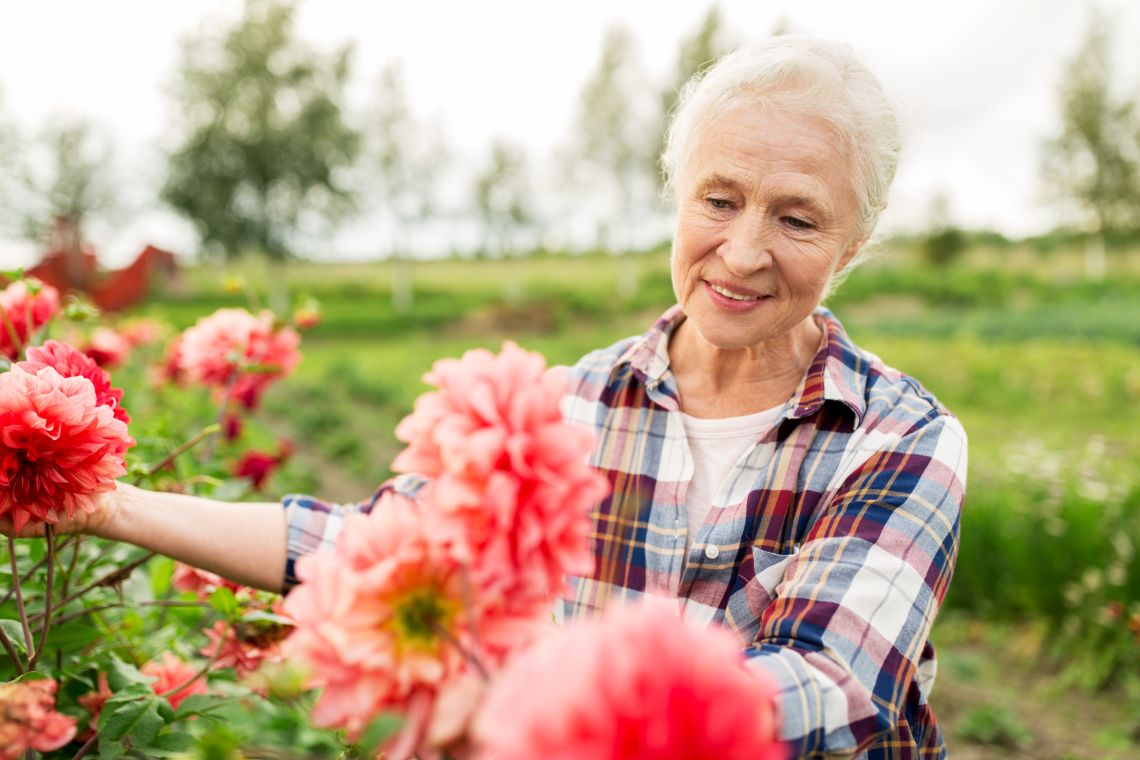 Grüner Daumen im Alter: sichere und erfüllende Gartenarbeit für Senioren