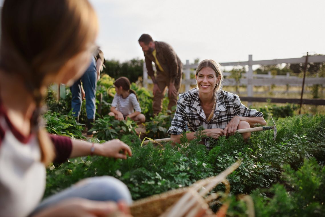 Gartenarbeit für Senioren: Menschen arbeiten im Gemeinschaftsgarten