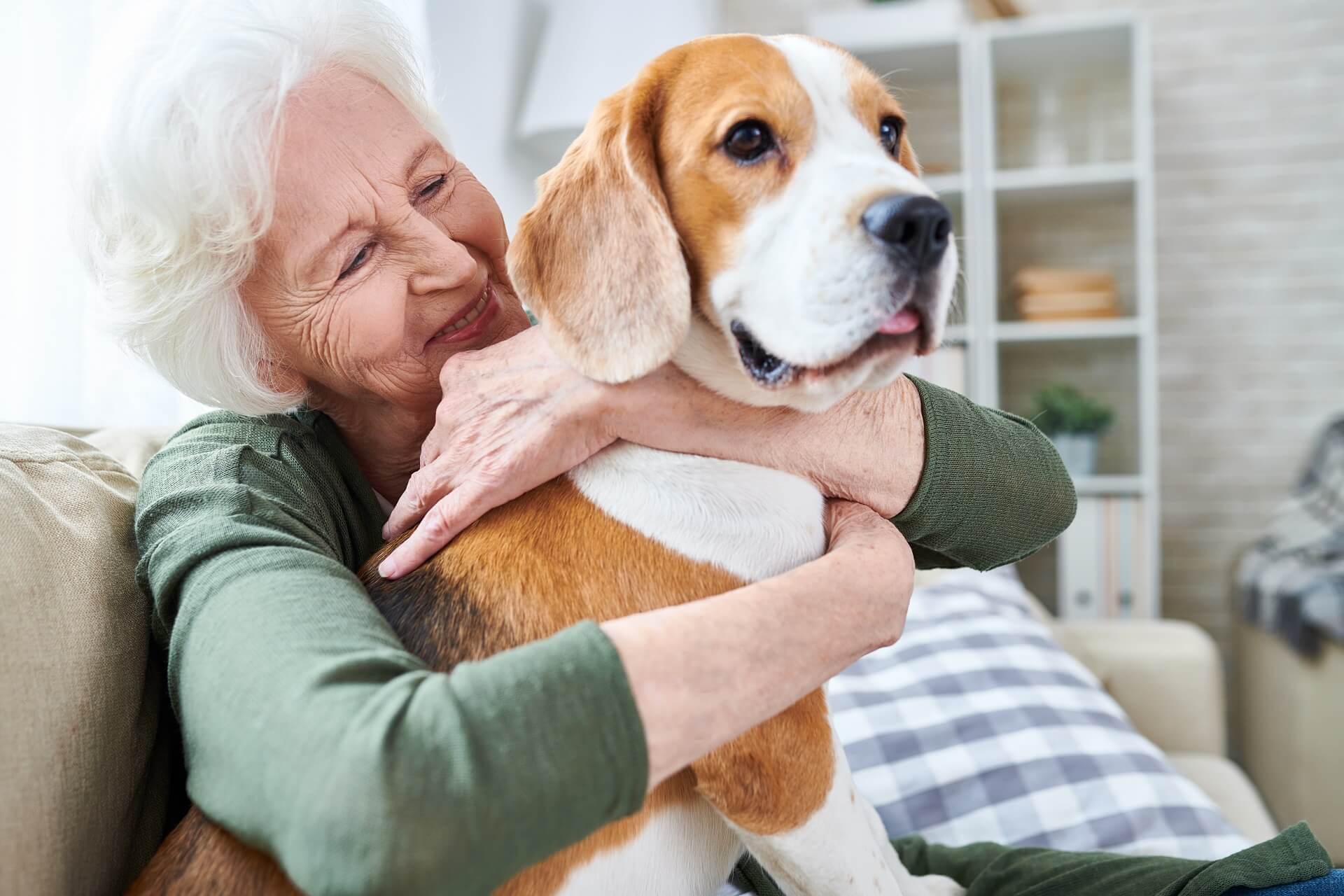 Eine Seniorin umarmt lächelnd einen Beagle, der auf ihem Schoß sitzt