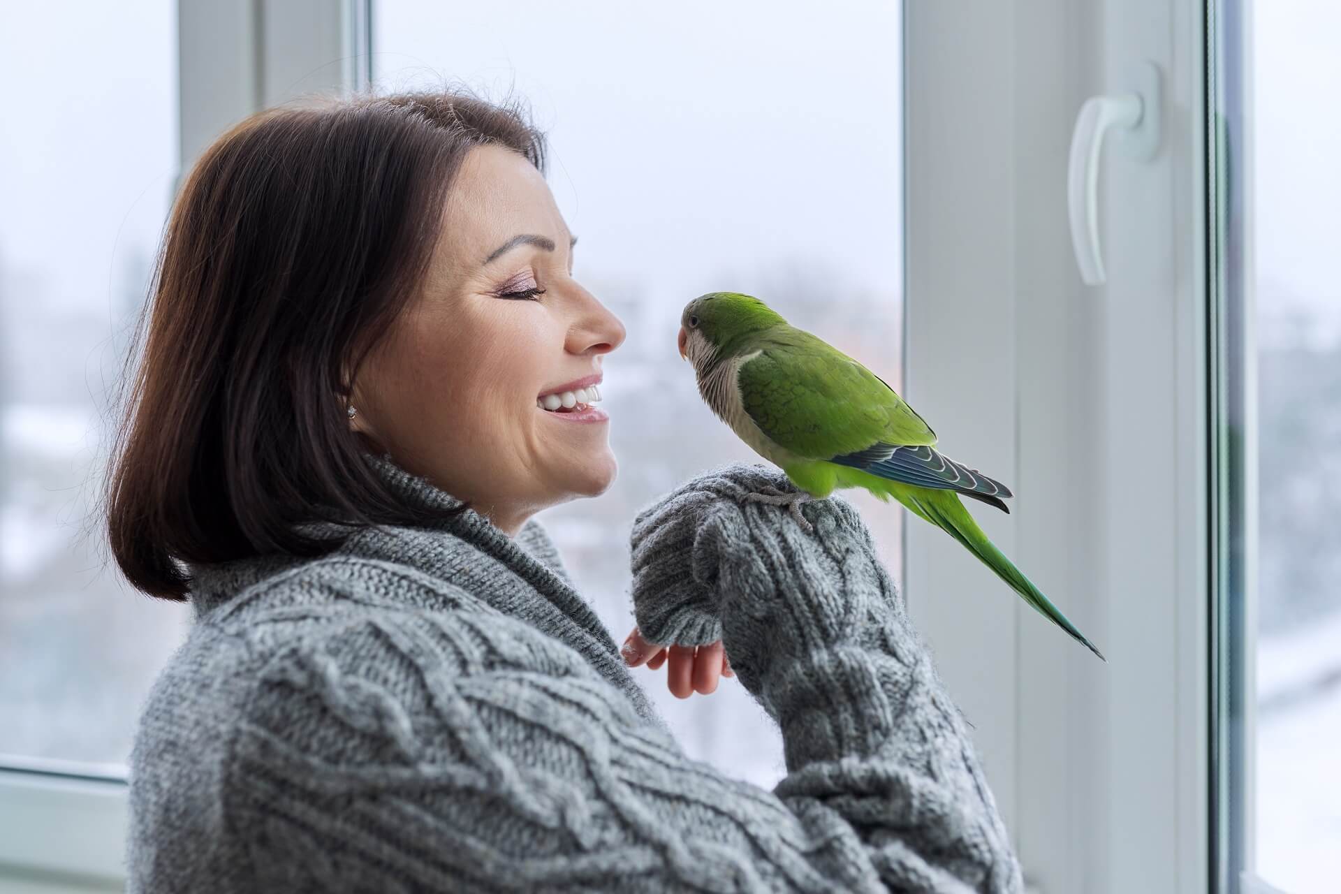 Ein grüner Vogel sitzt bei einer älteren Frau auf der Hand