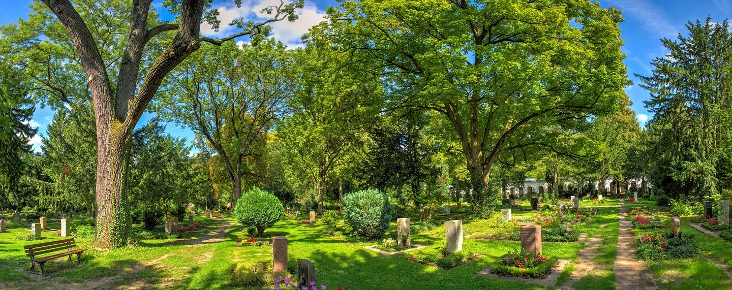 Moderne Bestattungsformen: Trends auf Friedhöfen