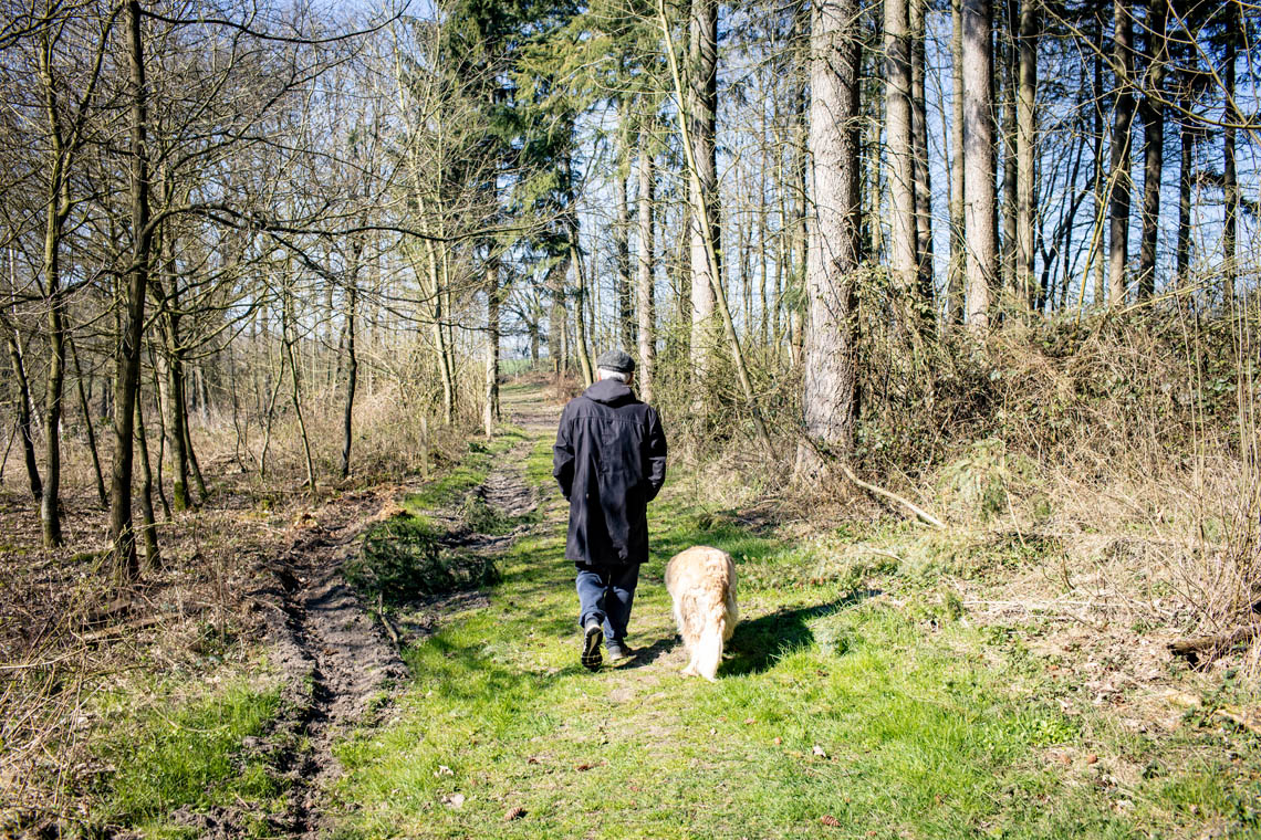 Senior mit Hund beim Spaziergang