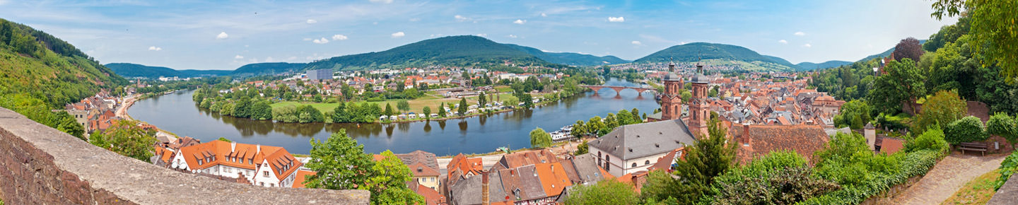 Panoramaaufnahme von Mainz