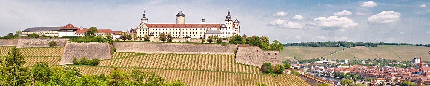 Würzburg Stadtpanorama