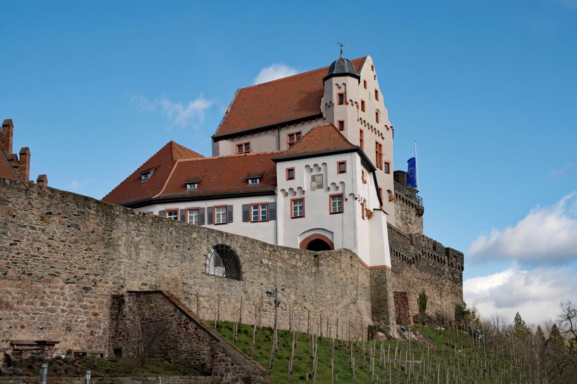 Burg Alzenau in Unterfranken