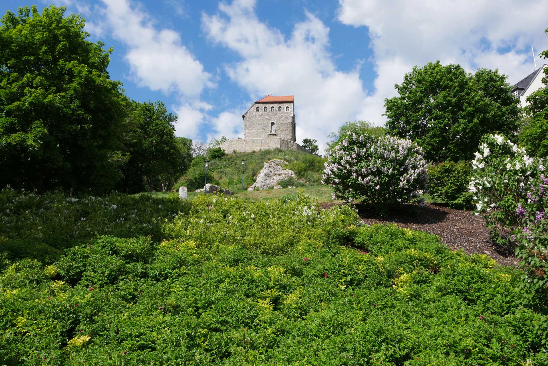 Kurpark und Hausmannsturm in Bad Frankenhausen