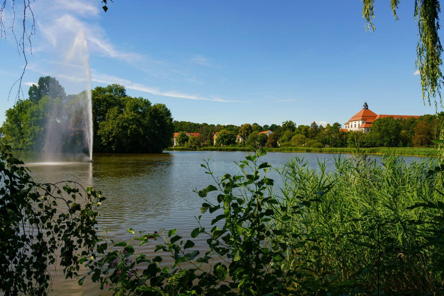 Blick auf den breiten Teich in Borna