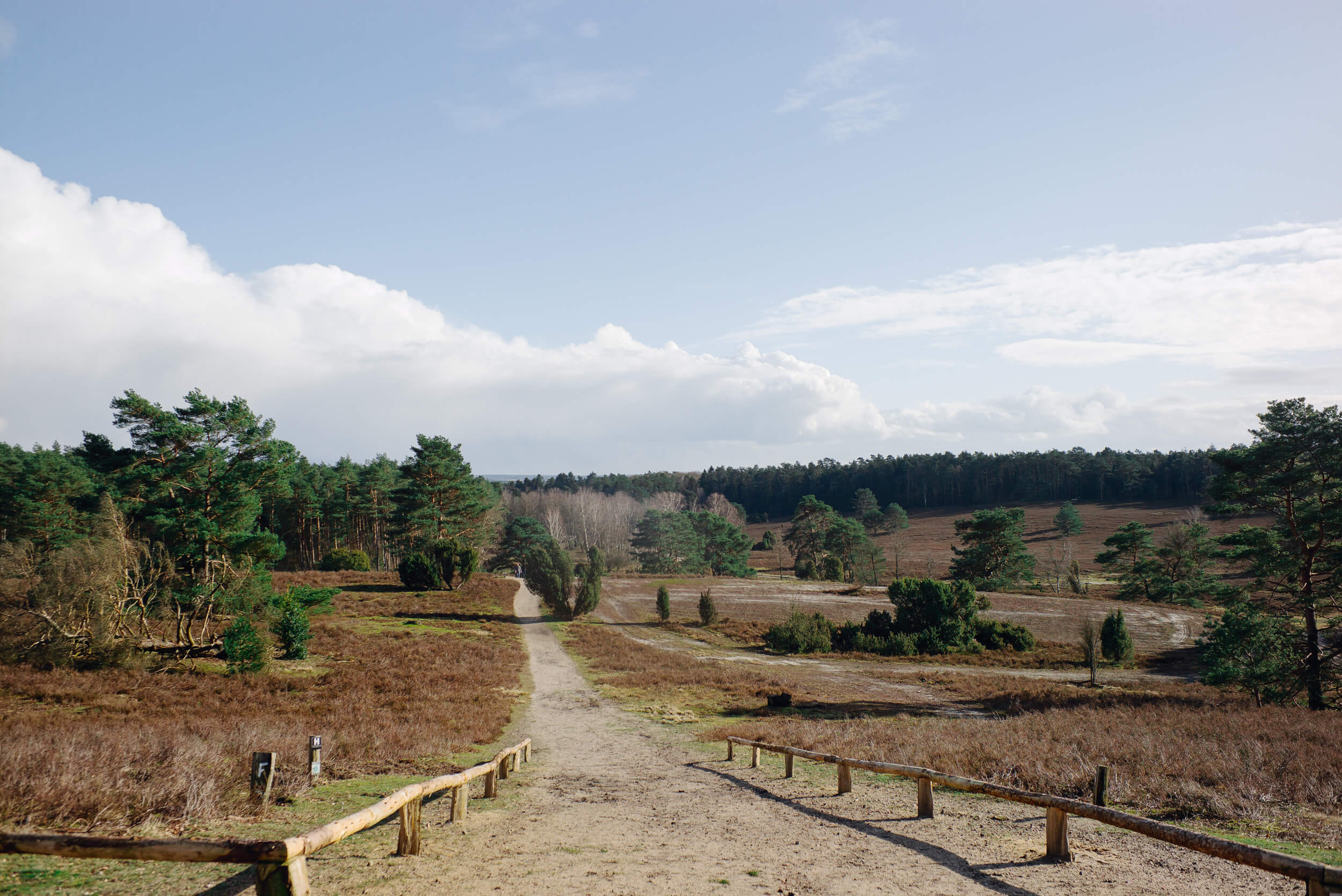 Landschaft Büsenbachtal bei Buchholz in der Nordheide