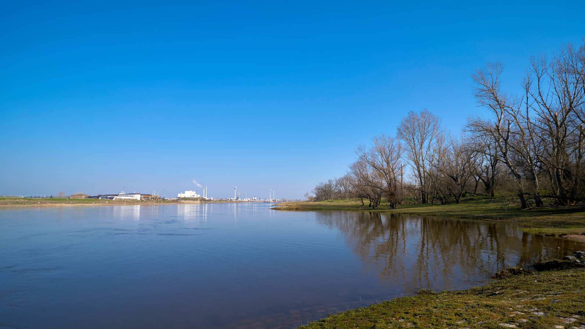 Ufer der Elbe bei Burg