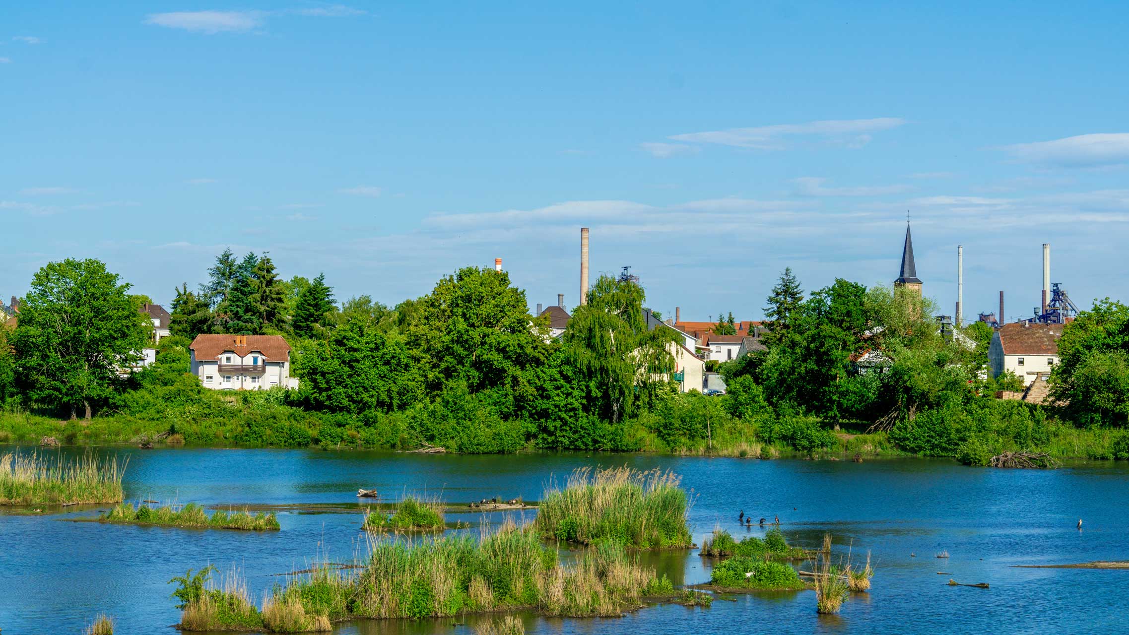 Ökosee in Dillingen/Saar