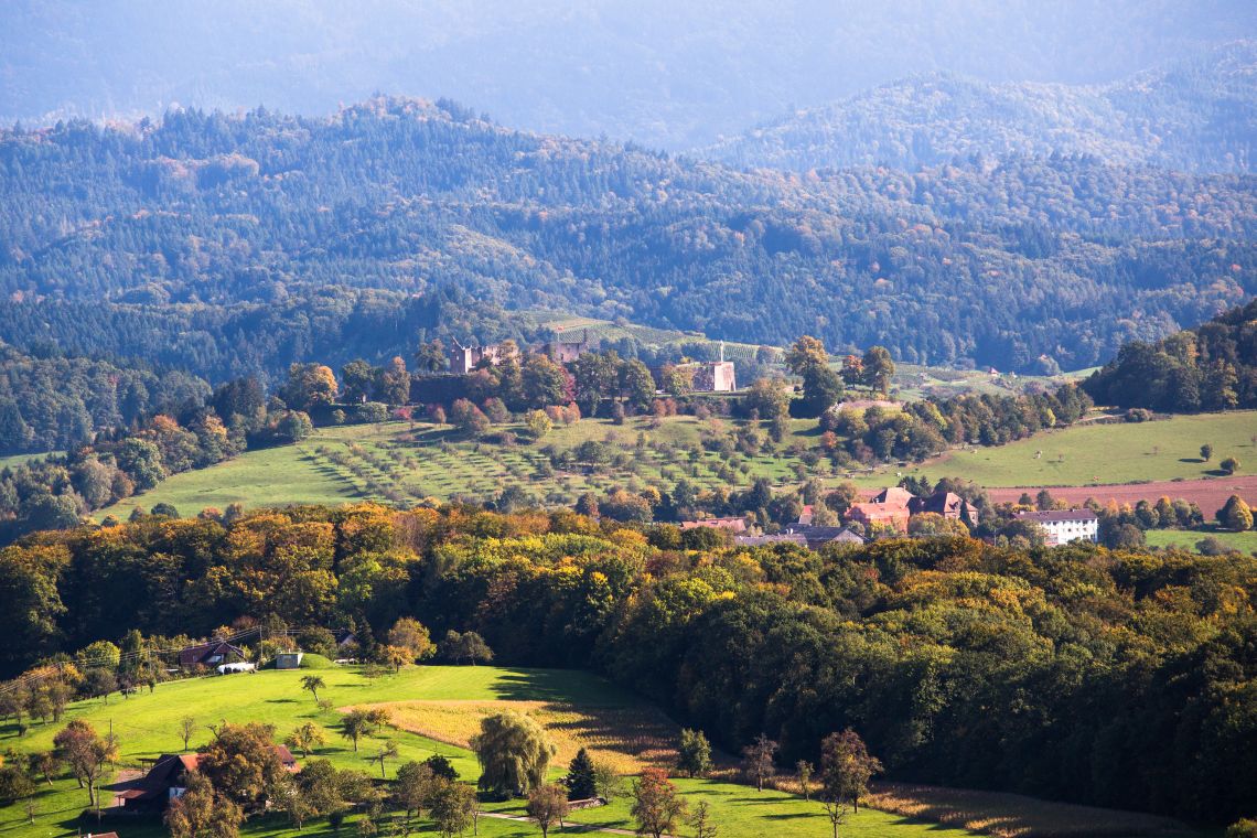 Panoramaaufnahme Eichbergturm von Emmendingen