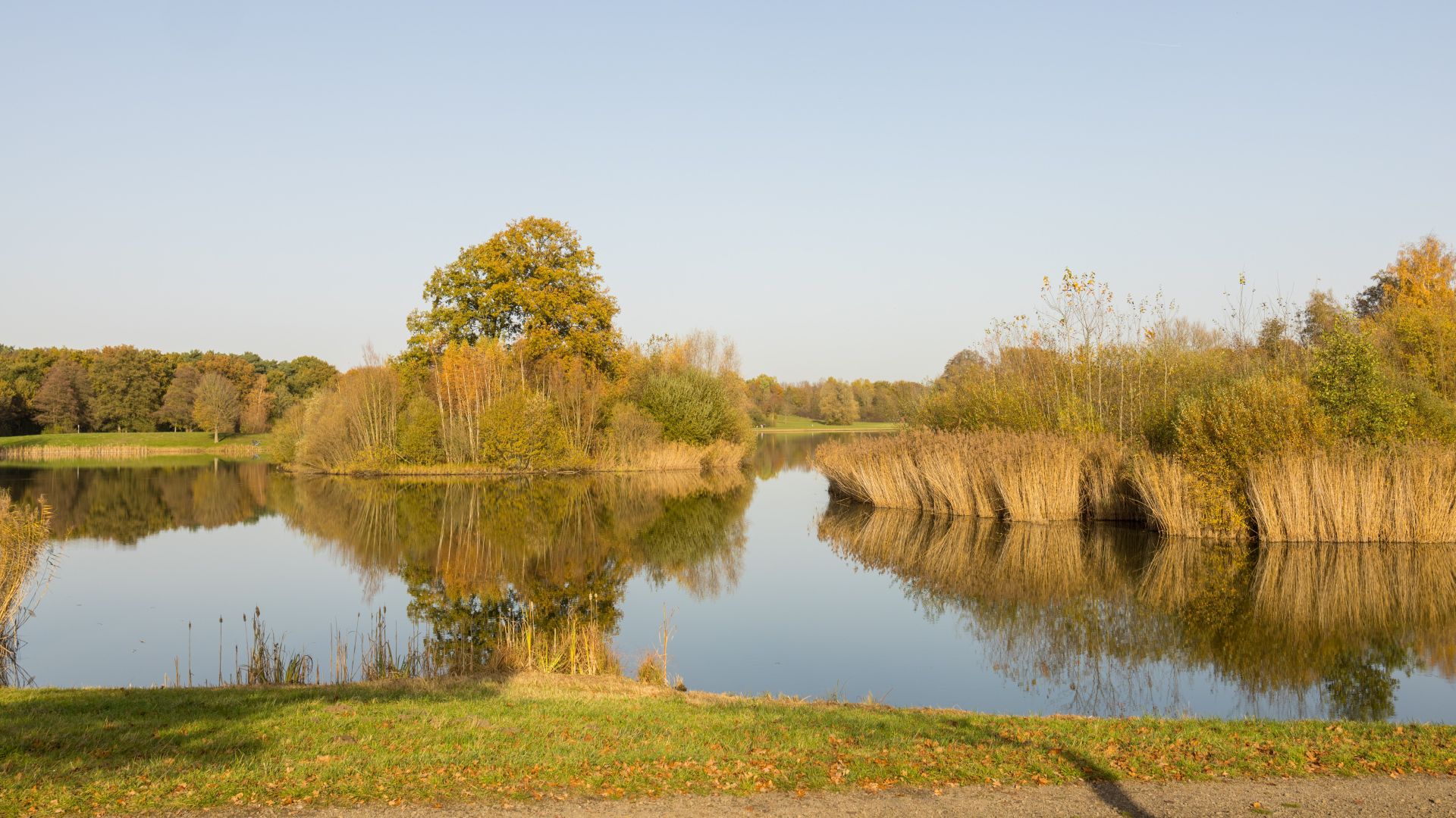 Gebiet der großen Aue in Espelkamp