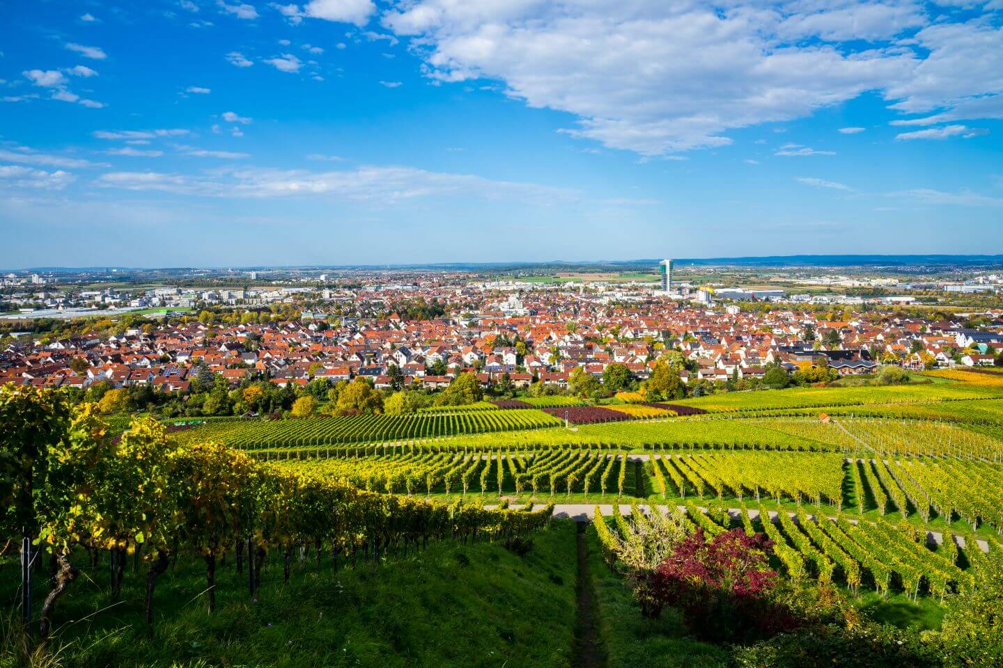 Blick auf die Stadt Fellbach