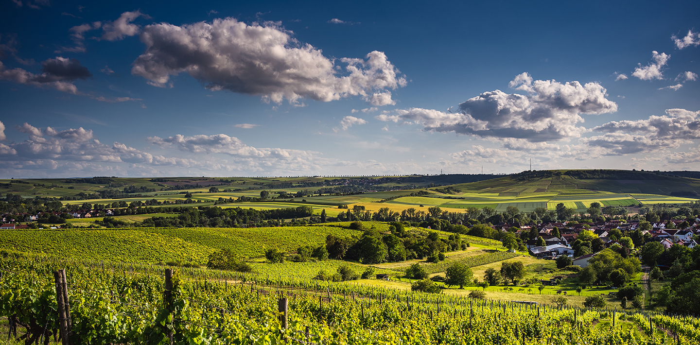 Idyllische Landschaft bei Flomborn