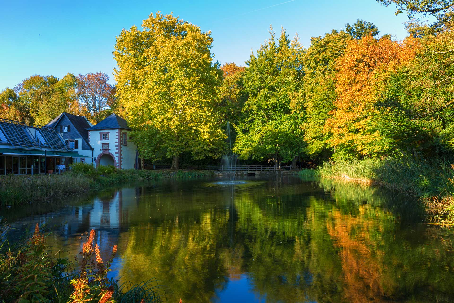 Kurpark Illingen und Burg Kerpen