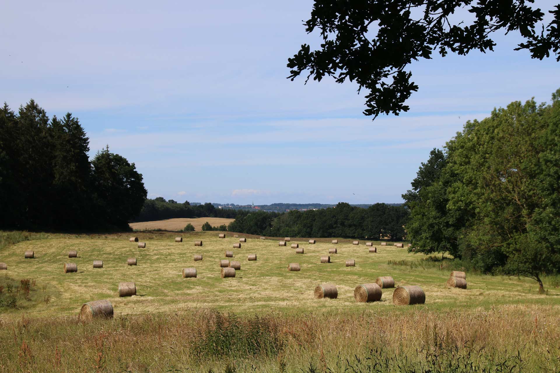 Landschaft bei Kröpelin