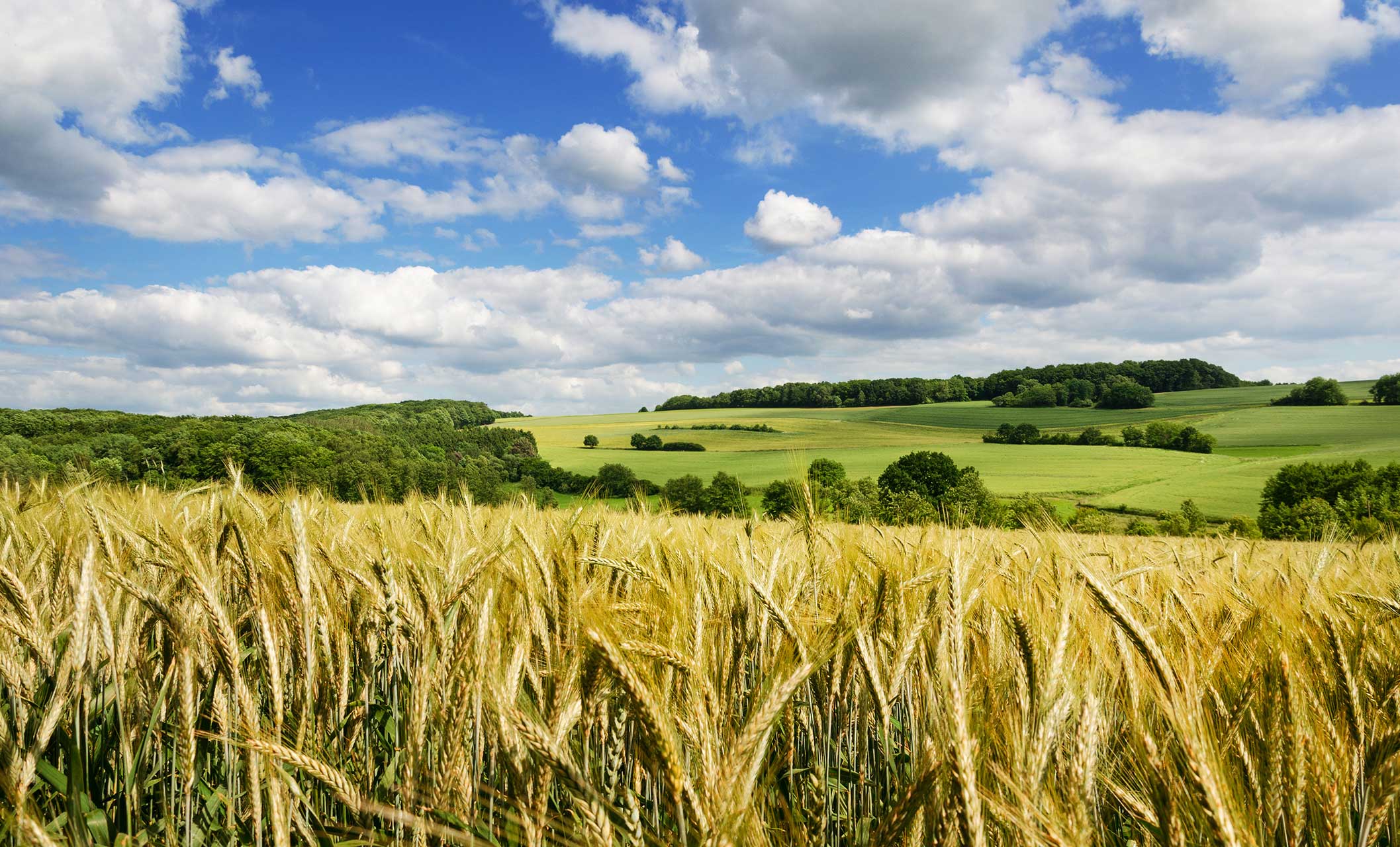 Landschaft bei Lebach