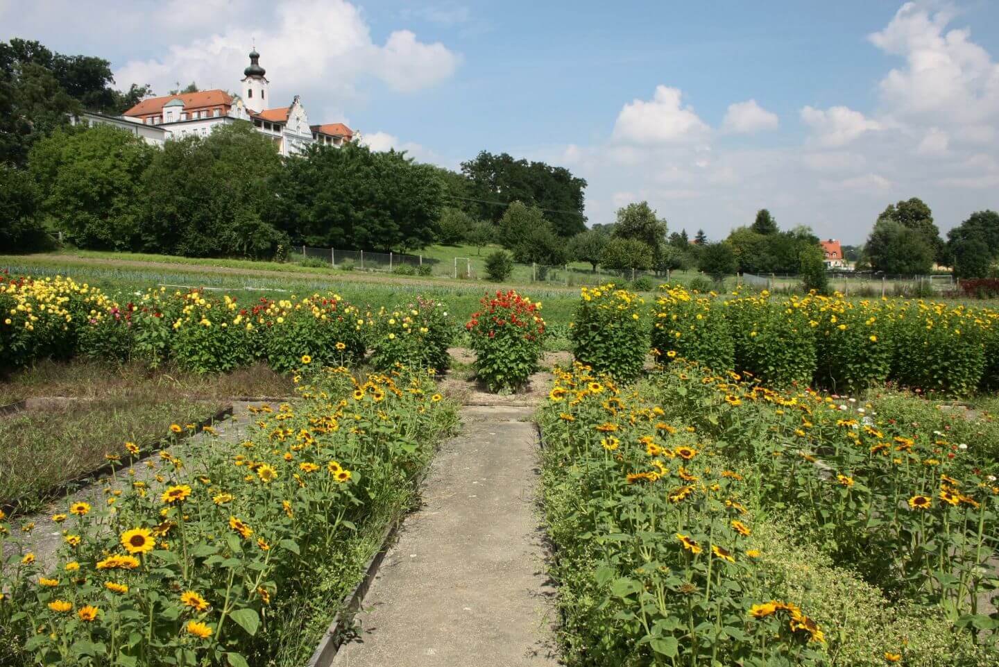 Kloster und Blumenbeete in Mallersdorf-Pfaffenberg