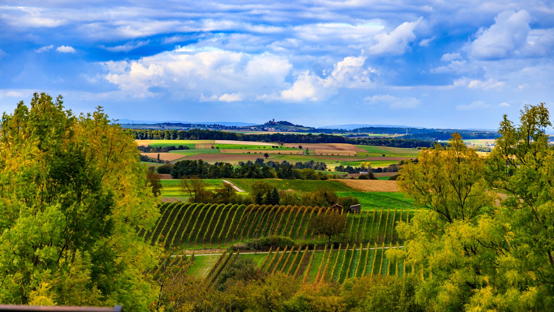 Blick über den Kraichgau nahe Meckesheim