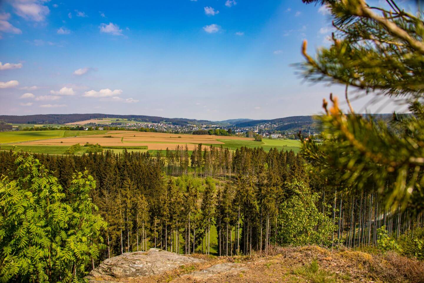 Blick auf Naila mit Nadelbäumen und Feldern im Vordergrund