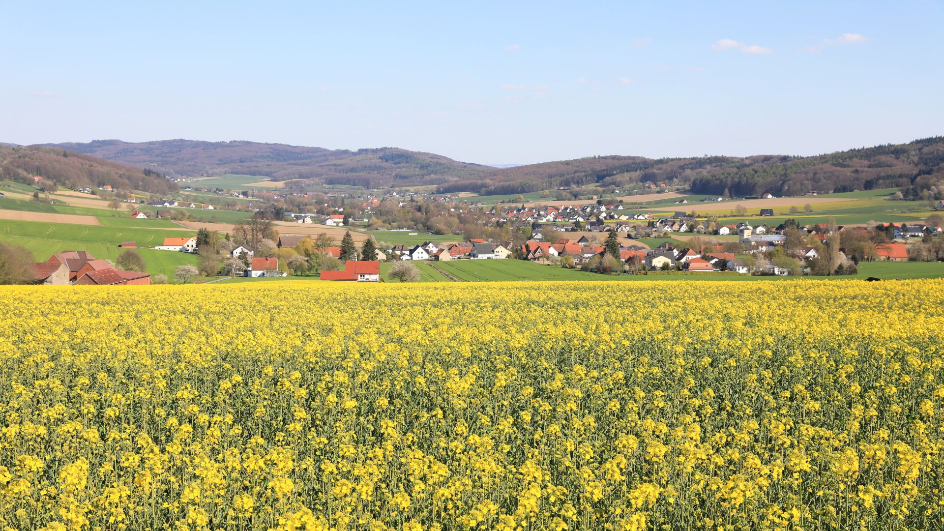 Idyllische Landschaft des Wiehengebirges nahe Preußisch Oldendorf
