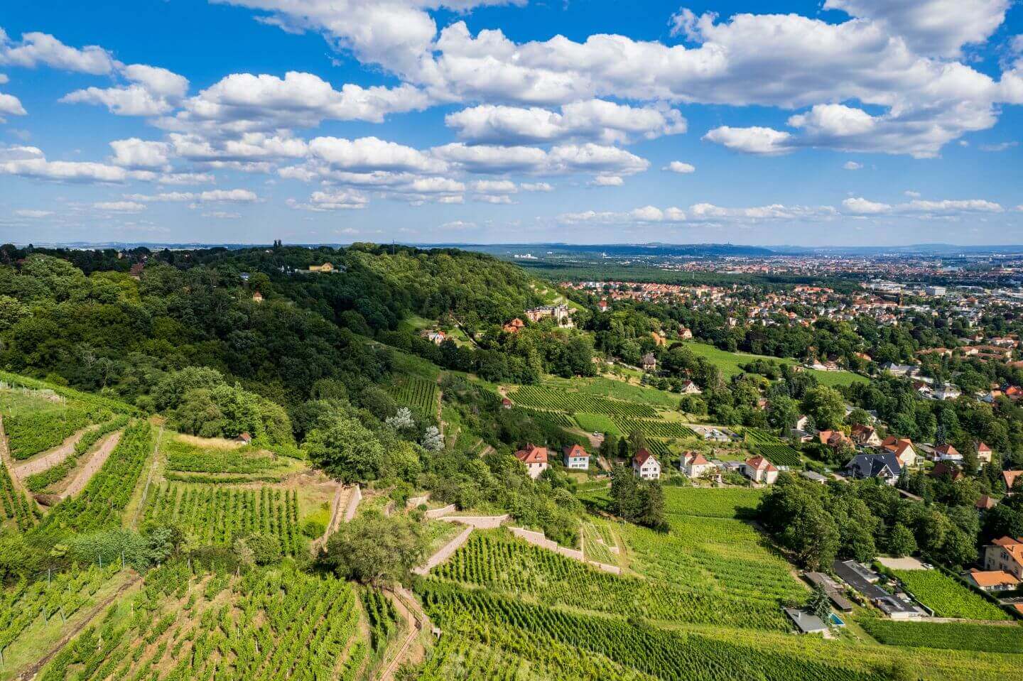 Blick auf Radebeul