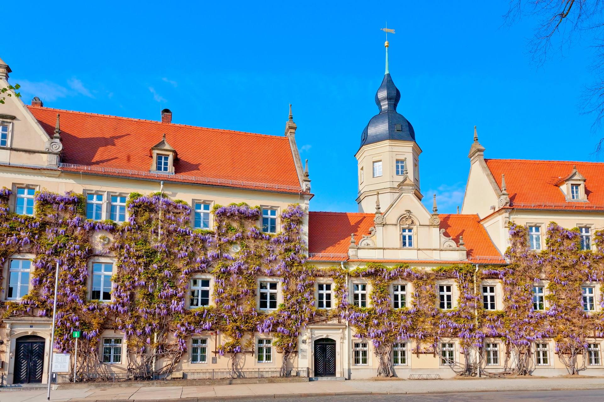 Rathaus von Riesa