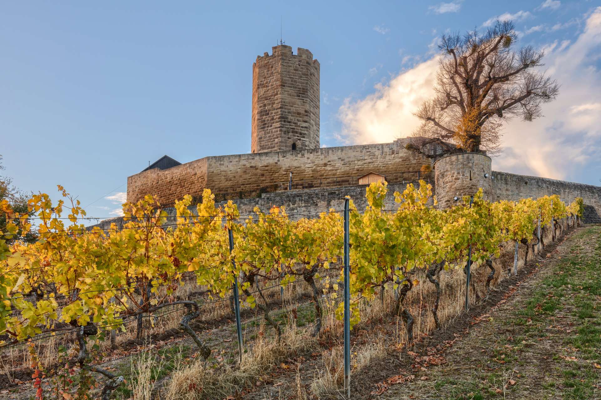 Burg Steinsberg