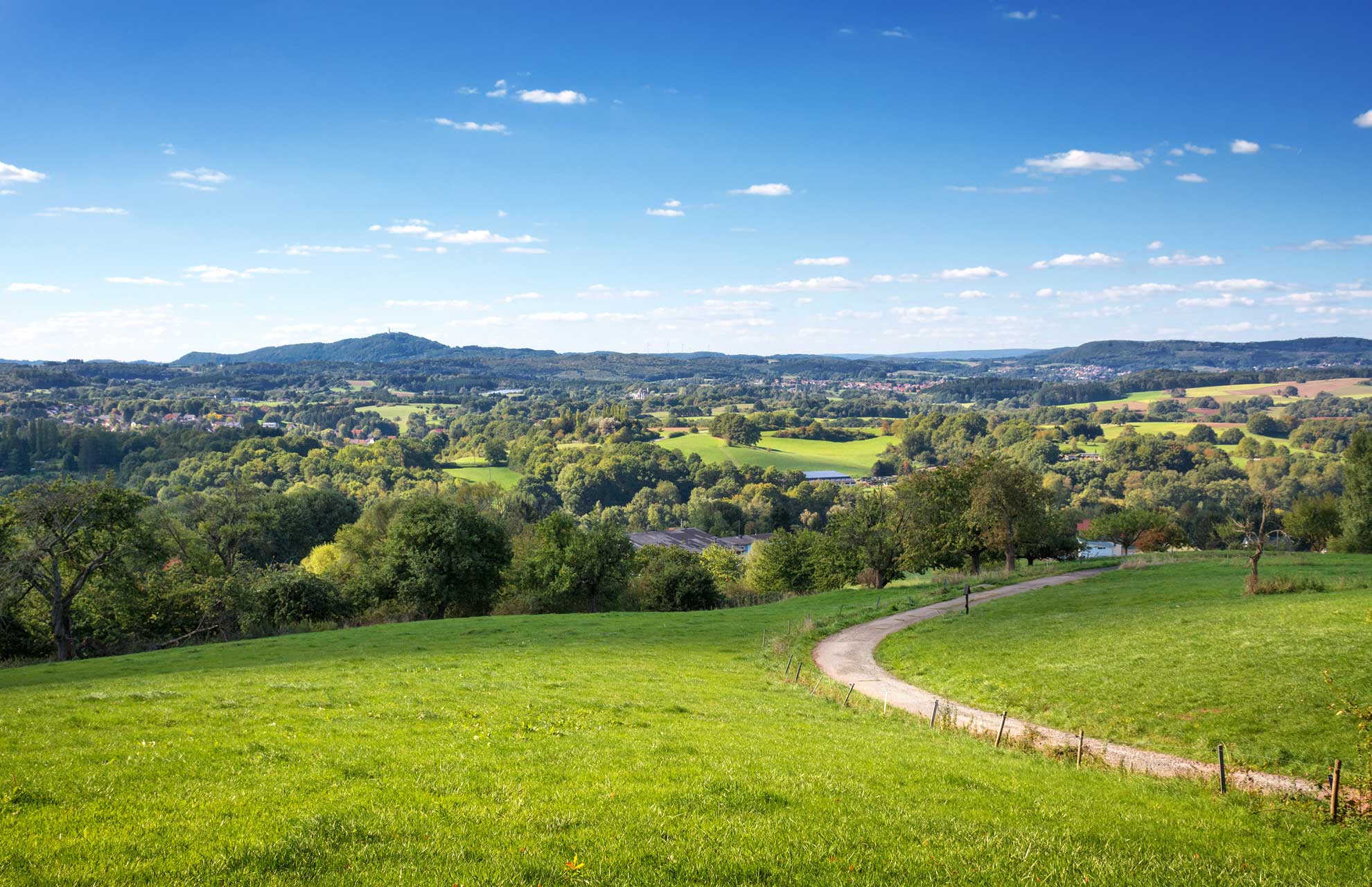 Grüne Landschaft in St. Wendel