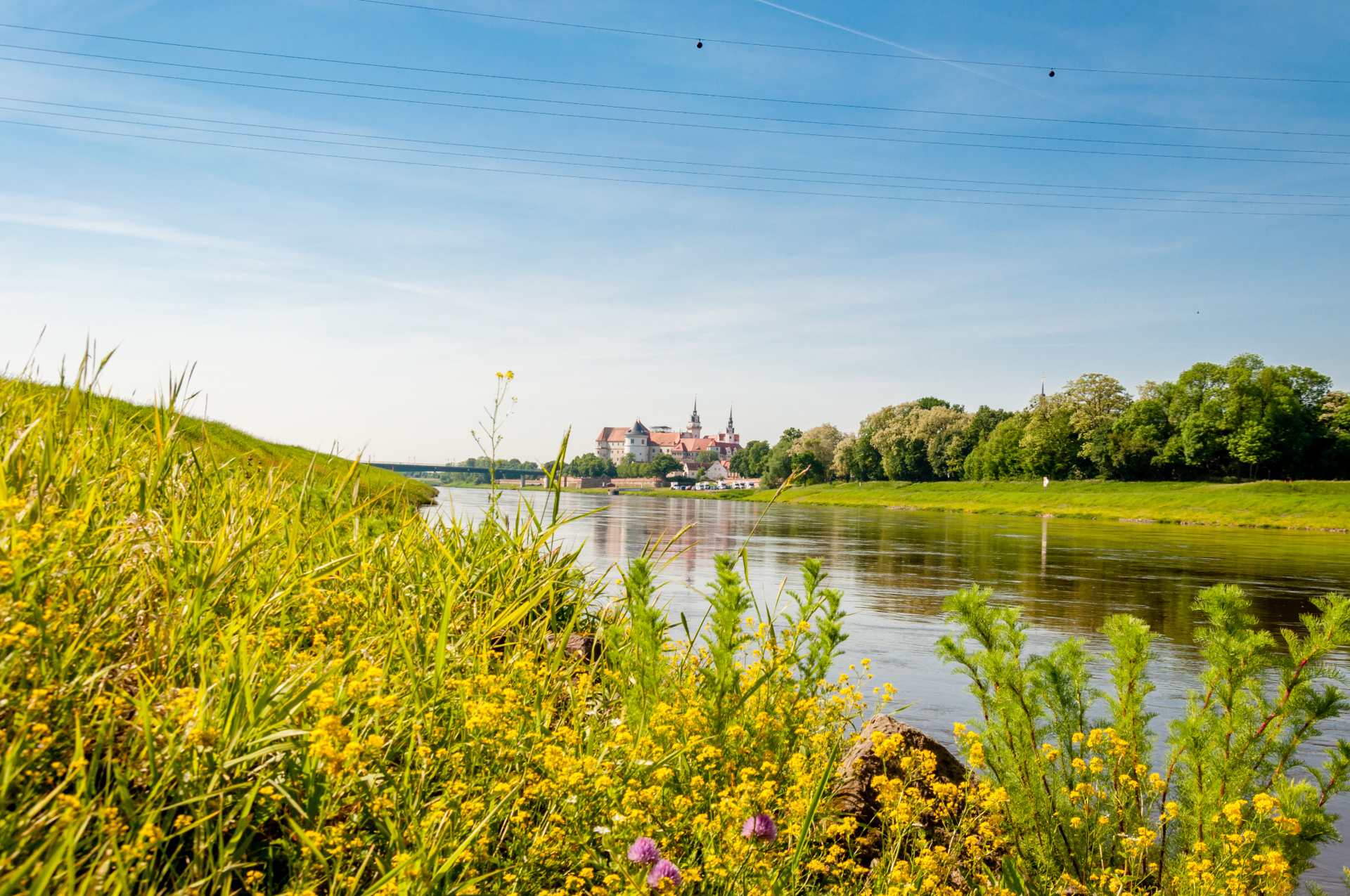 Elbe mit Schloss Hartenfels bei Taucha im Hintergrund