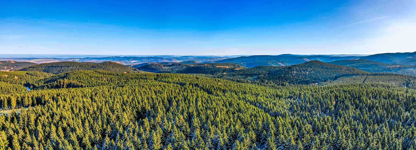Panoramablick über den Thüringer Wald