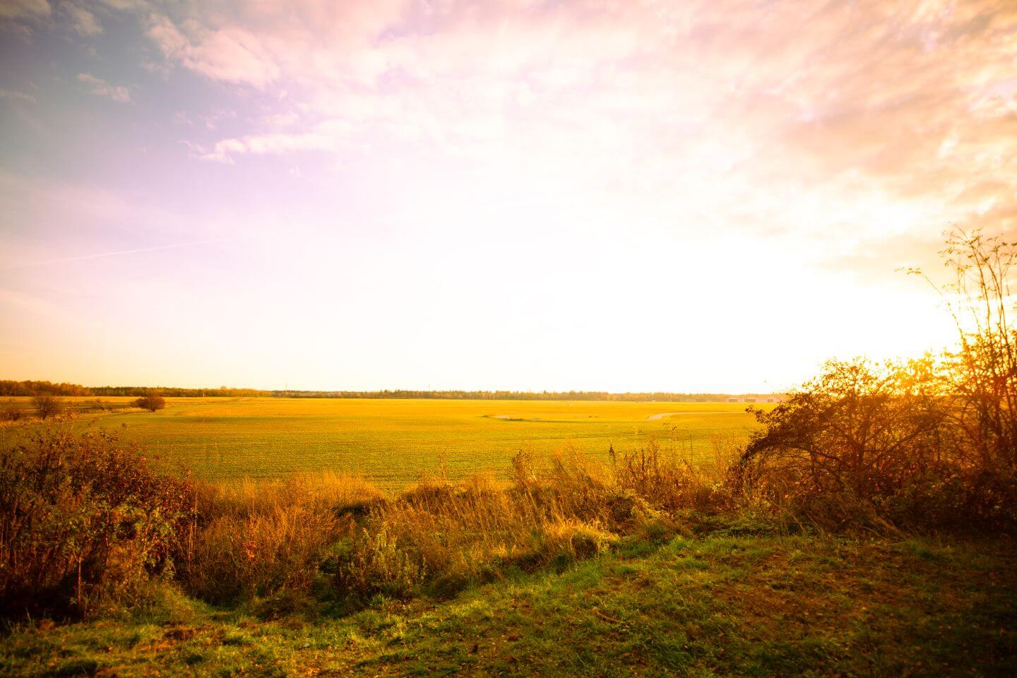 Naturlandschaft in Unterschleißheim