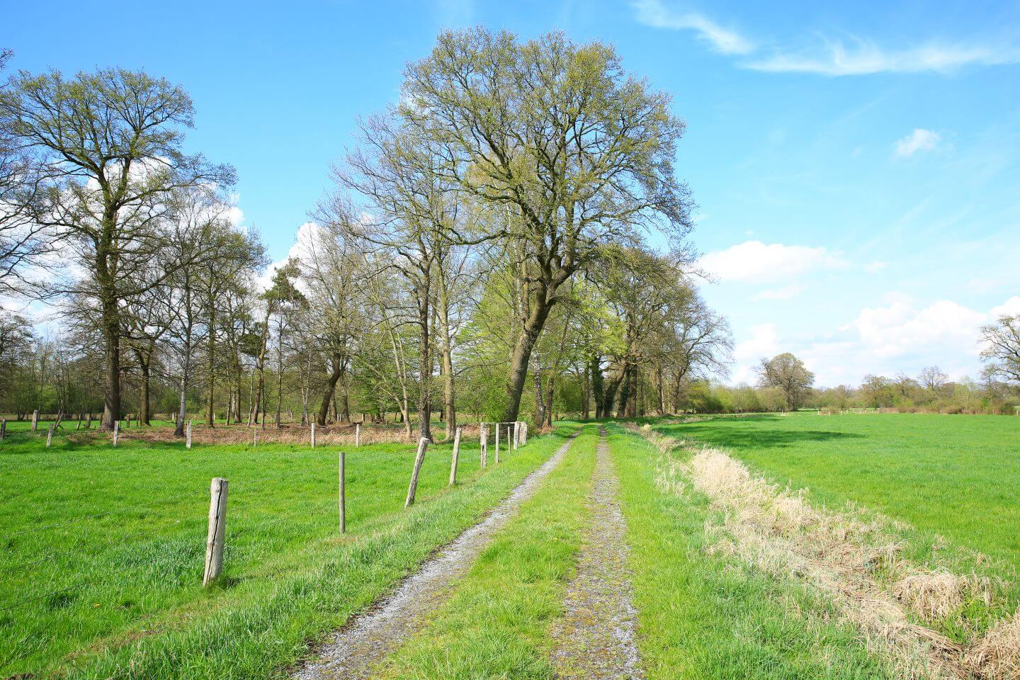 Landschaftsschutzgebiet Versmolder Bruch in Versmold