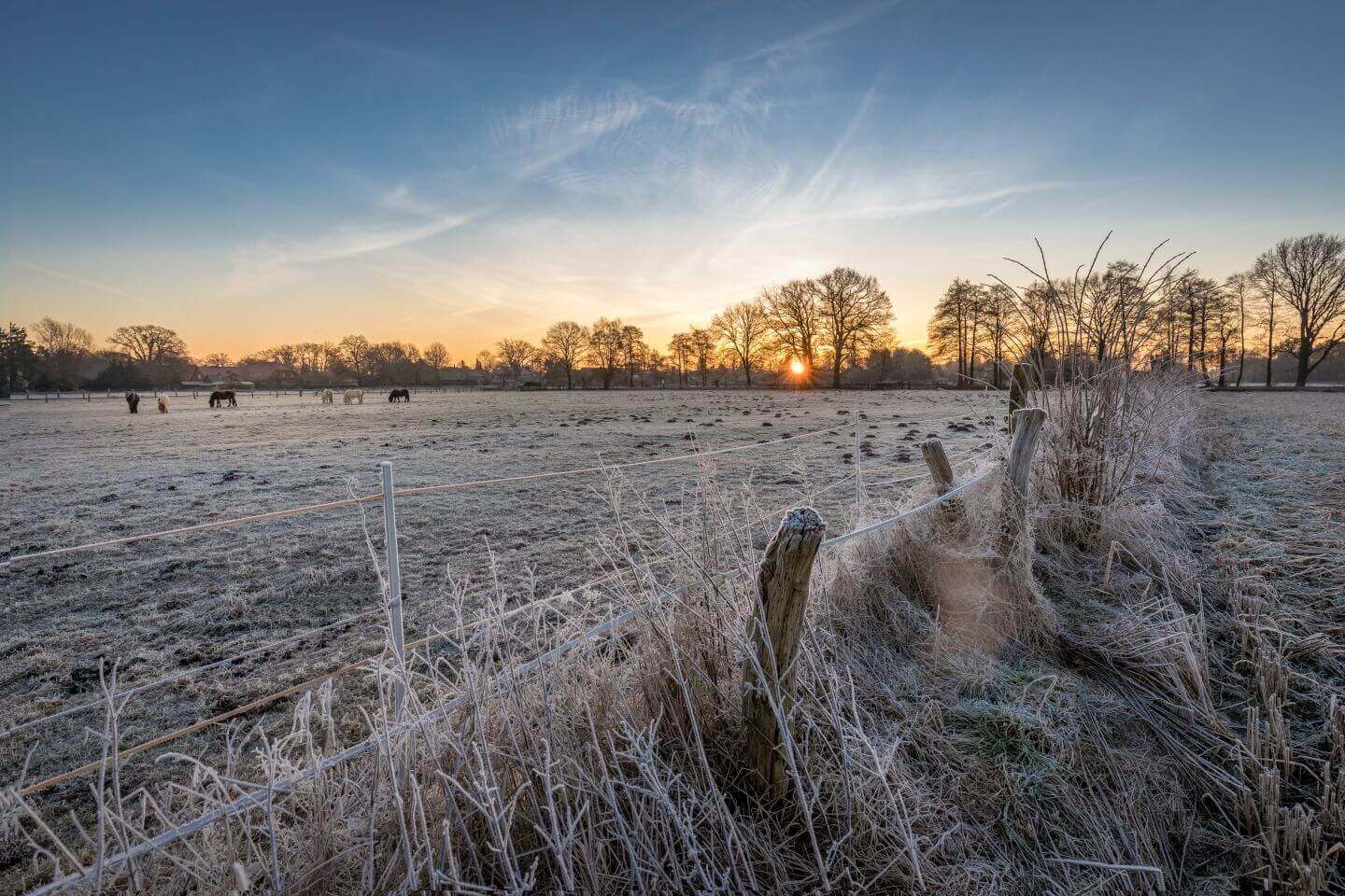 Sonnenaufgang in der Wedemark