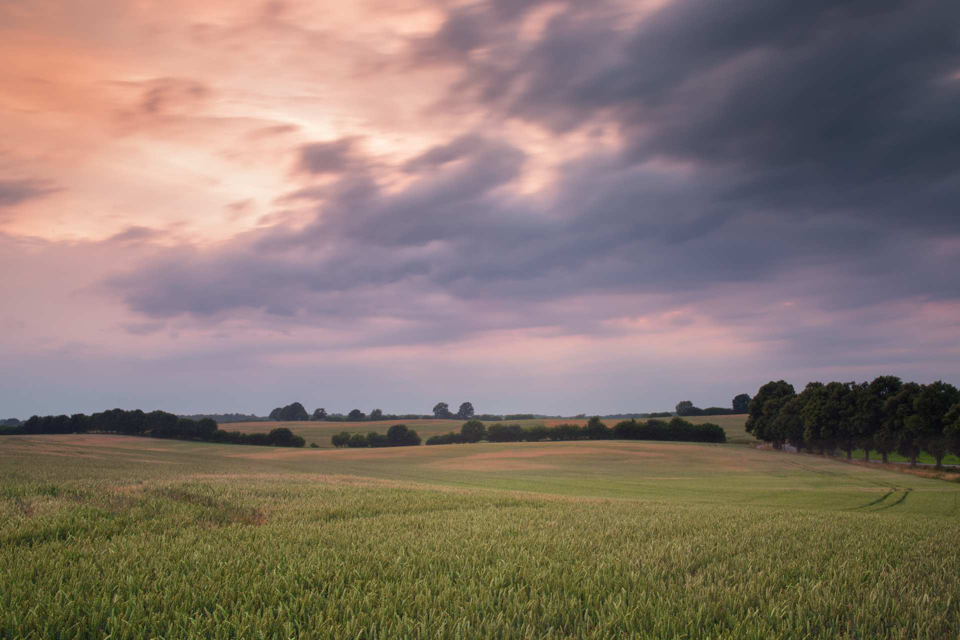 Felder bei Sonnenuntergang in Zarpen