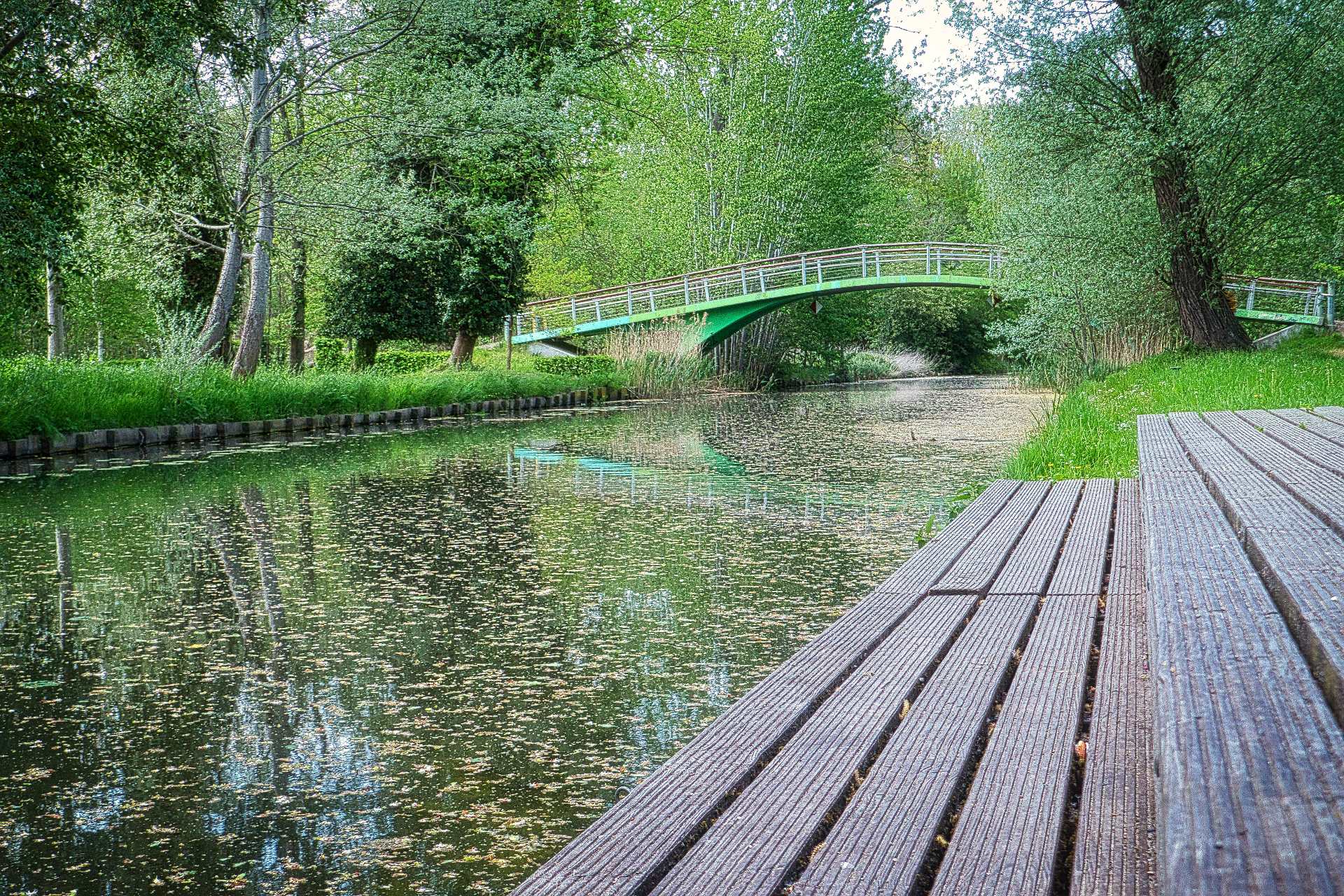 Brücke im Stadtpark